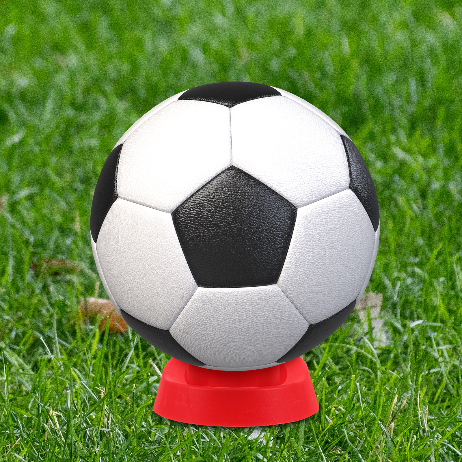 2Pcs Base Football Rugby Kicki - مراجعة Women'S Accessories Coach وسعره