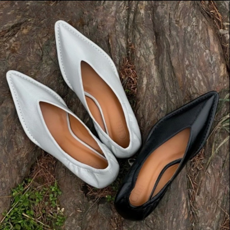 2025 New Pointed Toe Single Sh - مراجعة Women'S Accessories Trends 2025 وسعره