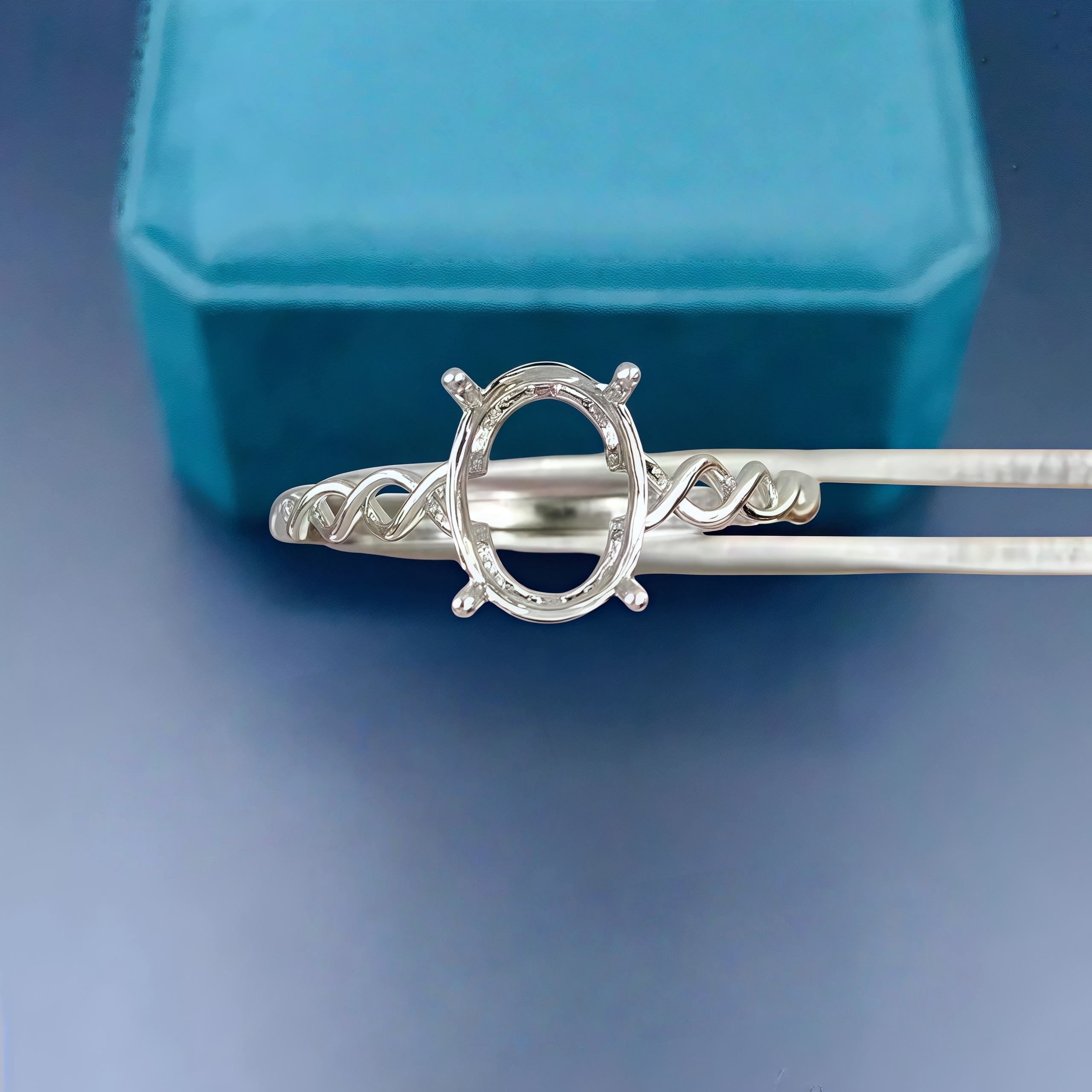 DIY Empty Ring Holder S925 Ste - مراجعة Women'S Accessories Rings وسعره